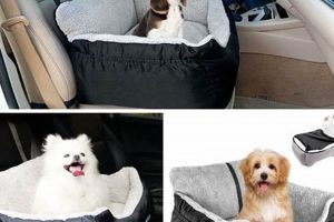 Best Dog Beds for Car Travel: Ultimate Guide | My Caring Dog – Tips, Stories, and Care Guides for Loving Pet Owners