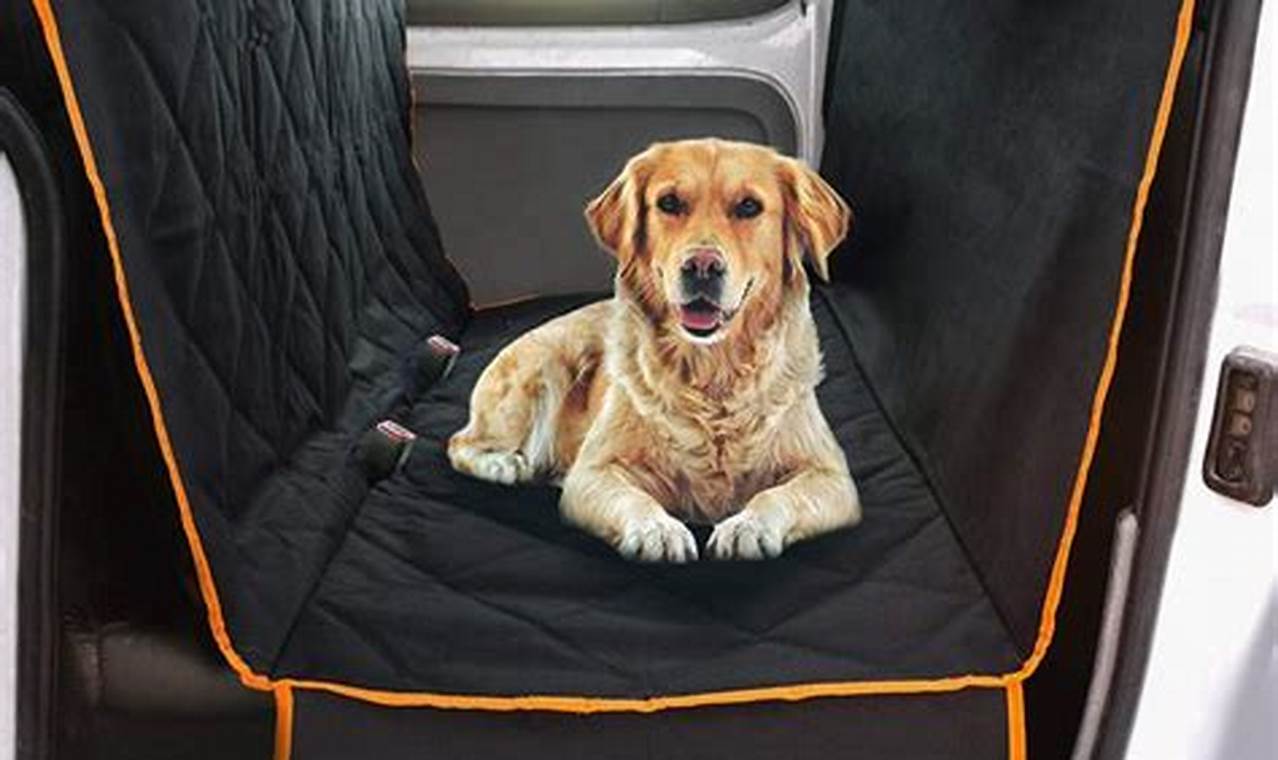 Best Dog Hair Car Seat Covers: Ultimate Protection My Caring Dog – Tips, Stories, and Care Guides for Loving Pet Owners Best Dog Hair Car Seat Covers: Ultimate Protection | My Caring Dog – Tips, Stories, and Care Guides for Loving Pet Owners