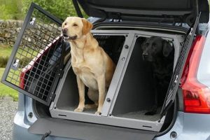 Large Dog Crate Car | My Caring Dog – Tips, Stories, and Care Guides for Loving Pet Owners
