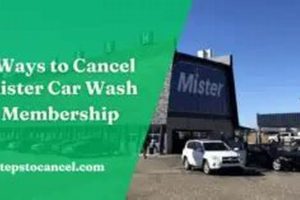 Cancel Top Dog Car Wash: Easy Guide & Steps | My Caring Dog – Tips, Stories, and Care Guides for Loving Pet Owners