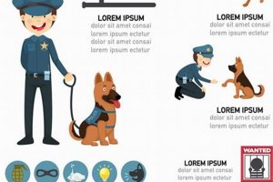 Car Dog Handler Salary: How Much Can You Make? My Caring Dog – Tips, Stories, and Care Guides for Loving Pet Owners Car Dog Handler Salary: How Much Can You Make? | My Caring Dog – Tips, Stories, and Care Guides for Loving Pet Owners