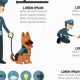 Car Dog Handler Salary: How Much Can You Make? | My Caring Dog – Tips, Stories, and Care Guides for Loving Pet Owners