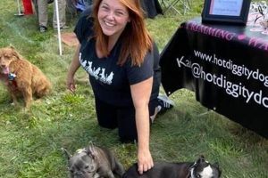 Top Hot Diggity Dog Pet Care Services | My Caring Dog – Tips, Stories, and Care Guides for Loving Pet Owners