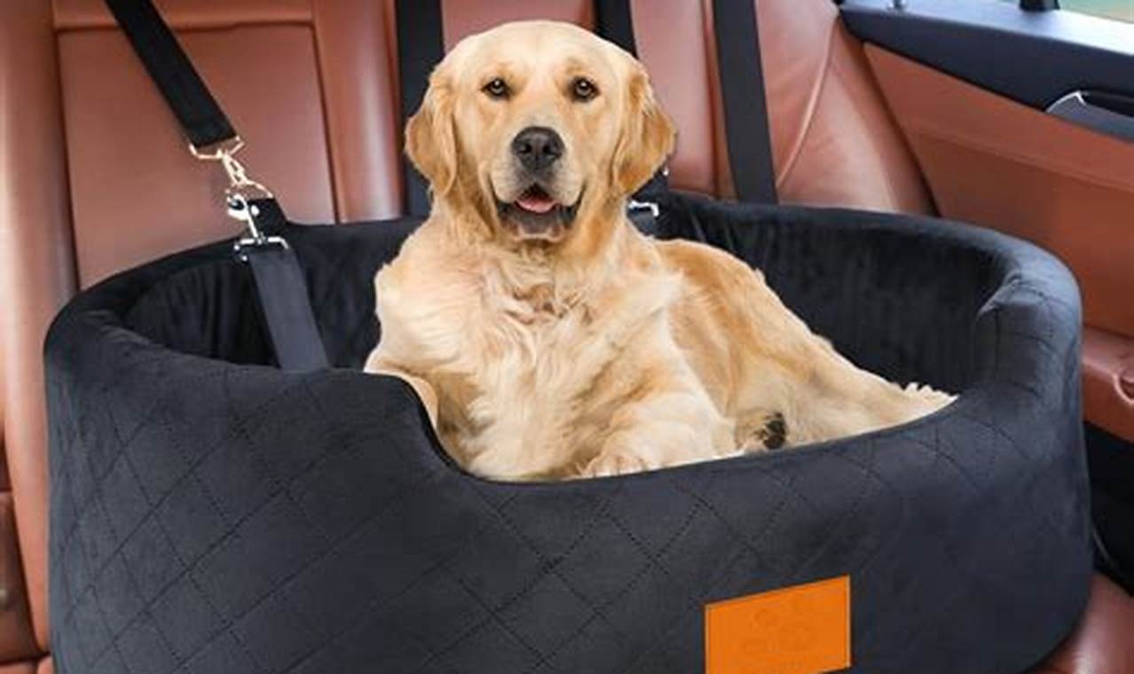 Best Car Seats for Large Dogs: Safe & Comfy My Caring Dog – Tips, Stories, and Care Guides for Loving Pet Owners Best Car Seats for Large Dogs: Safe & Comfy | My Caring Dog – Tips, Stories, and Care Guides for Loving Pet Owners