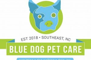 Best Blue Dog Pet Care Guide & Tips | My Caring Dog – Tips, Stories, and Care Guides for Loving Pet Owners