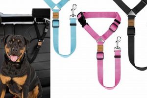 Best Dog Restraints for Car Travel Safety | My Caring Dog – Tips, Stories, and Care Guides for Loving Pet Owners
