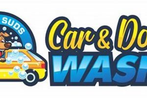 Best Super Suds Car & Dog Wash Near You My Caring Dog – Tips, Stories, and Care Guides for Loving Pet Owners Best Super Suds Car & Dog Wash Near You | My Caring Dog – Tips, Stories, and Care Guides for Loving Pet Owners