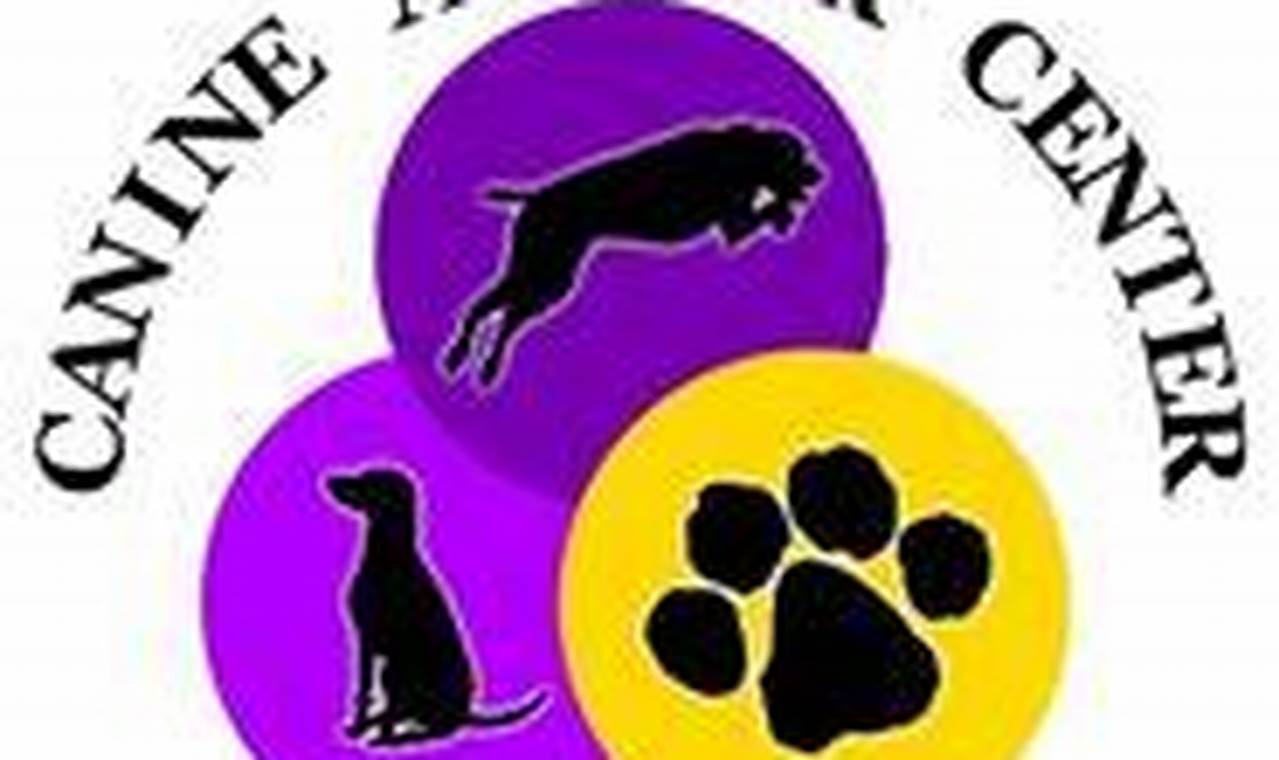 The Ultimate Canine Affair: Car Dog Edition My Caring Dog – Tips, Stories, and Care Guides for Loving Pet Owners The Ultimate Canine Affair: Car Dog Edition | My Caring Dog – Tips, Stories, and Care Guides for Loving Pet Owners