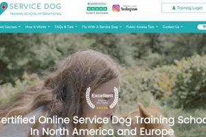 Top 5 Best Online Service Dog Training Programs My Caring Dog – Tips, Stories, and Care Guides for Loving Pet Owners Top 5 Best Online Service Dog Training Programs | My Caring Dog – Tips, Stories, and Care Guides for Loving Pet Owners