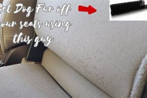 Top Tips: Clean Dog Hair from Car Seats Easily | My Caring Dog – Tips, Stories, and Care Guides for Loving Pet Owners