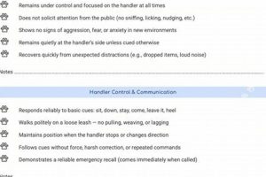 General Public Access Test My Caring Dog – Tips, Stories, and Care Guides for Loving Pet Owners General Public Access Test | My Caring Dog – Tips, Stories, and Care Guides for Loving Pet Owners