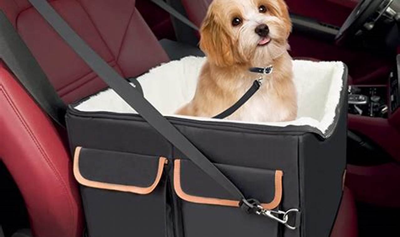 Best Amazon Dog Car Seats: Top Picks & Guide | My Caring Dog – Tips, Stories, and Care Guides for Loving Pet Owners