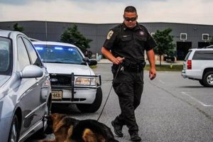 Top K9 Handler Jobs Near Me: Car Dog Edition | My Caring Dog – Tips, Stories, and Care Guides for Loving Pet Owners
