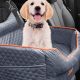 Dogs In Car | My Caring Dog – Tips, Stories, and Care Guides for Loving Pet Owners
