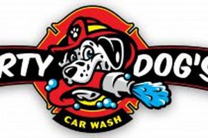 Tampa's Dirty Dogs Car Wash: Best Dog Wash | My Caring Dog – Tips, Stories, and Care Guides for Loving Pet Owners