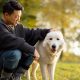 The Ultimate Guide to Dog Ownership Responsibilities | My Caring Dog – Tips, Stories, and Care Guides for Loving Pet Owners