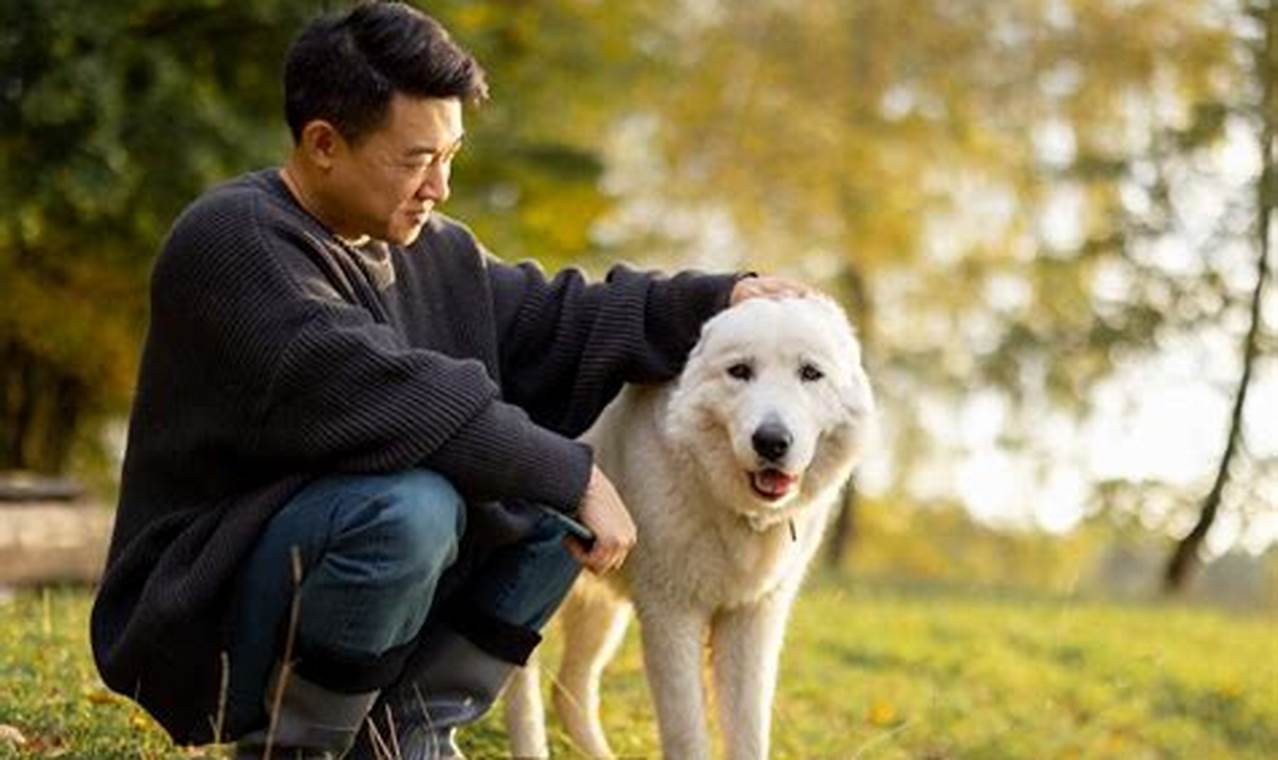 The Ultimate Guide to Dog Ownership Responsibilities My Caring Dog – Tips, Stories, and Care Guides for Loving Pet Owners The Ultimate Guide to Dog Ownership Responsibilities | My Caring Dog – Tips, Stories, and Care Guides for Loving Pet Owners