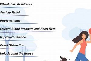 Complete Guide: Therapy Dogs Training Certification My Caring Dog – Tips, Stories, and Care Guides for Loving Pet Owners Complete Guide: Therapy Dogs Training Certification | My Caring Dog – Tips, Stories, and Care Guides for Loving Pet Owners