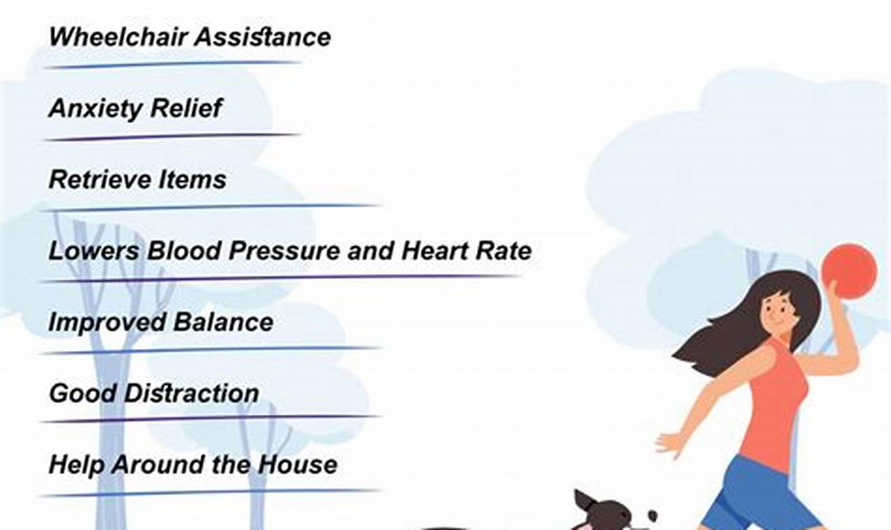 Complete Guide: Therapy Dogs Training Certification My Caring Dog – Tips, Stories, and Care Guides for Loving Pet Owners Complete Guide: Therapy Dogs Training Certification | My Caring Dog – Tips, Stories, and Care Guides for Loving Pet Owners