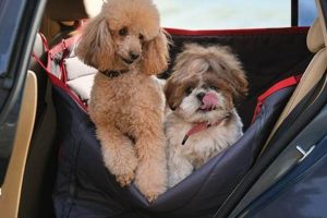 Top-Rated Dog Car Seats: Ultimate Guide My Caring Dog – Tips, Stories, and Care Guides for Loving Pet Owners Top-Rated Dog Car Seats: Ultimate Guide | My Caring Dog – Tips, Stories, and Care Guides for Loving Pet Owners