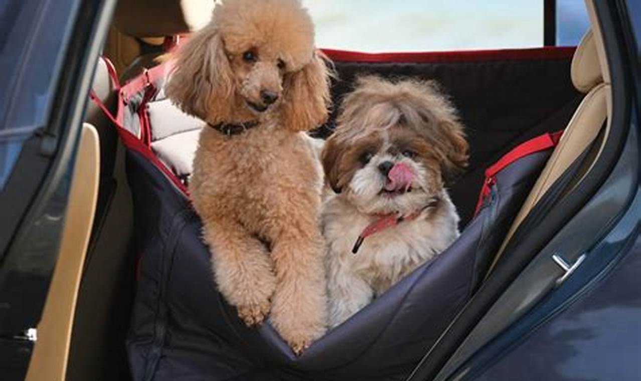 Top-Rated Dog Car Seats: Ultimate Guide My Caring Dog – Tips, Stories, and Care Guides for Loving Pet Owners Top-Rated Dog Car Seats: Ultimate Guide | My Caring Dog – Tips, Stories, and Care Guides for Loving Pet Owners