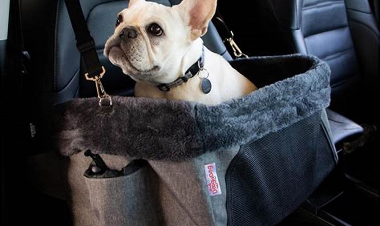 Top Safe Car Seats For Dogs: A Guide My Caring Dog – Tips, Stories, and Care Guides for Loving Pet Owners Top Safe Car Seats For Dogs: A Guide | My Caring Dog – Tips, Stories, and Care Guides for Loving Pet Owners