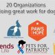 Top Dog Organizations for Car Travel Safety | My Caring Dog – Tips, Stories, and Care Guides for Loving Pet Owners