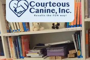 Canine Inc My Caring Dog – Tips, Stories, and Care Guides for Loving Pet Owners Canine Inc | My Caring Dog – Tips, Stories, and Care Guides for Loving Pet Owners