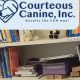 Canine Inc | My Caring Dog – Tips, Stories, and Care Guides for Loving Pet Owners