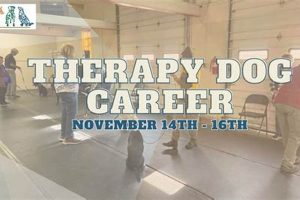 Best Therapy Dog Career Paths & Certification | My Caring Dog – Tips, Stories, and Care Guides for Loving Pet Owners
