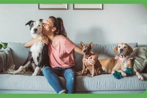Best Pet Services for Your Dog: Care & More My Caring Dog – Tips, Stories, and Care Guides for Loving Pet Owners Best Pet Services for Your Dog: Care & More | My Caring Dog – Tips, Stories, and Care Guides for Loving Pet Owners