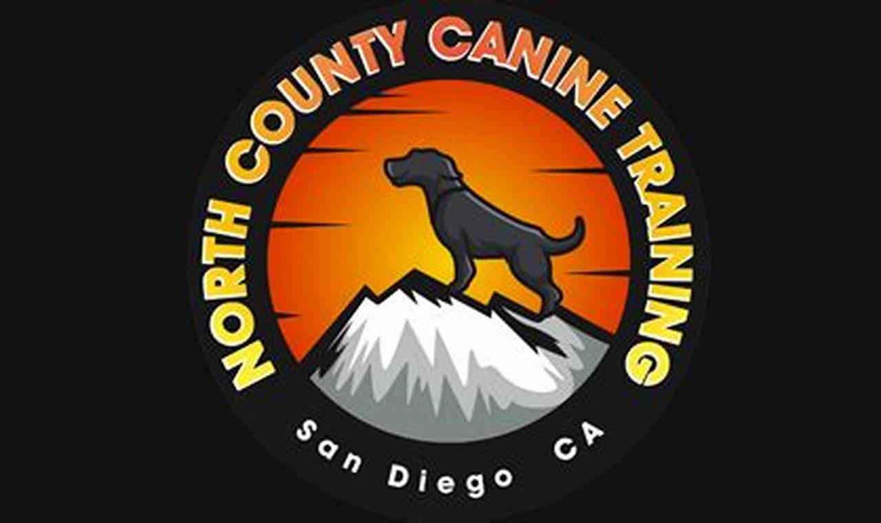 Top North County Canine Gear for Car Dogs My Caring Dog – Tips, Stories, and Care Guides for Loving Pet Owners Top North County Canine Gear for Car Dogs | My Caring Dog – Tips, Stories, and Care Guides for Loving Pet Owners