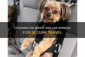 Top Safest Dog Car Harnesses for Secure Travel | My Caring Dog – Tips, Stories, and Care Guides for Loving Pet Owners