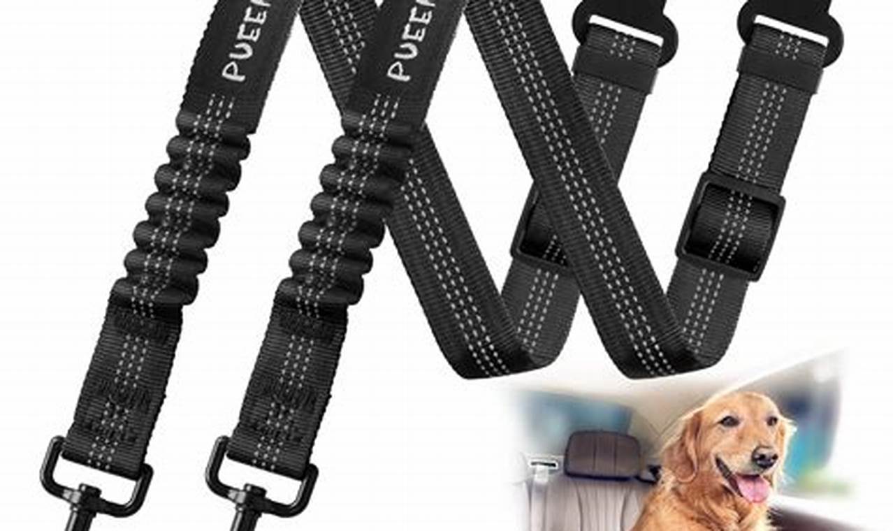 Best Adjustable Dog Car Seat Belts for Safe Travel | My Caring Dog – Tips, Stories, and Care Guides for Loving Pet Owners