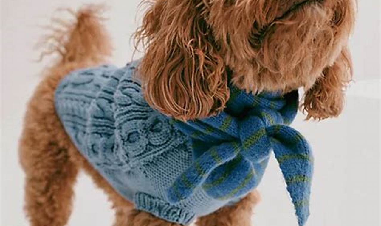 Free People Dog | My Caring Dog – Tips, Stories, and Care Guides for Loving Pet Owners