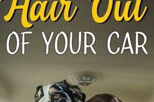 Ultimate Guide: Dog Hair Removal from Cars | My Caring Dog – Tips, Stories, and Care Guides for Loving Pet Owners