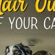 Ultimate Guide: Dog Hair Removal from Cars | My Caring Dog – Tips, Stories, and Care Guides for Loving Pet Owners