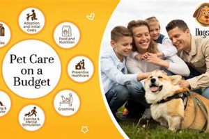 Ultimate Good Dog Pet Care Guide & Tips | My Caring Dog – Tips, Stories, and Care Guides for Loving Pet Owners