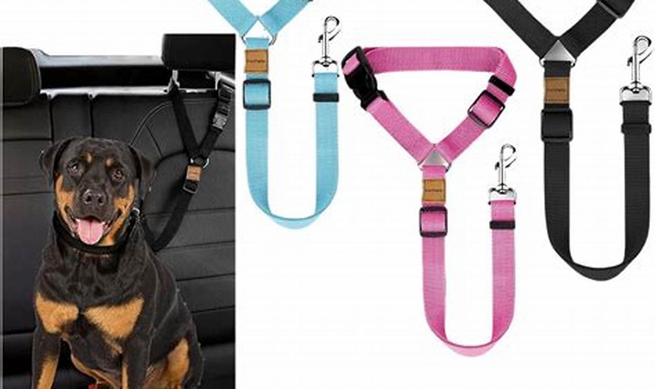 Best Car Seat Belts for Large Dogs: Safe Travels | My Caring Dog – Tips, Stories, and Care Guides for Loving Pet Owners
