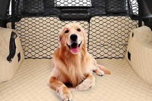 Dog Car Barrier Mesh My Caring Dog – Tips, Stories, and Care Guides for Loving Pet Owners Dog Car Barrier Mesh | My Caring Dog – Tips, Stories, and Care Guides for Loving Pet Owners