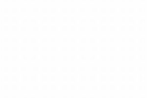 Classic Hot Dog Hot Wheels Car: A Collector's Guide | My Caring Dog – Tips, Stories, and Care Guides for Loving Pet Owners