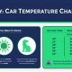 Dangerous Car Temps for Dogs: Keep Them Safe! | My Caring Dog – Tips, Stories, and Care Guides for Loving Pet Owners