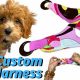 Easy DIY Dog Car Harness Guide & Tips | My Caring Dog – Tips, Stories, and Care Guides for Loving Pet Owners