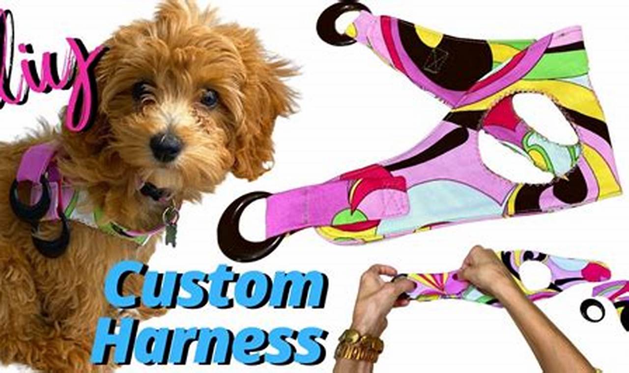 Easy DIY Dog Car Harness Guide & Tips | My Caring Dog – Tips, Stories, and Care Guides for Loving Pet Owners