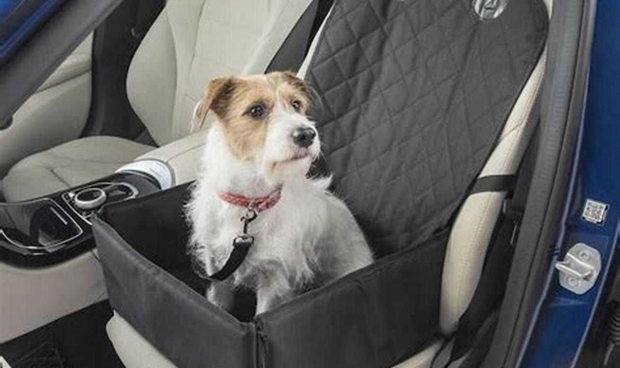 Top Car Seat Covers for Shedding Dogs: Ultimate Guide | My Caring Dog – Tips, Stories, and Care Guides for Loving Pet Owners