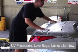 Top Dog Express: Car Wash &amp; Oil Change | My Caring Dog – Tips, Stories, and Care Guides for Loving Pet Owners