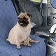 Best Dog Car Front Seat Covers & Protectors | My Caring Dog – Tips, Stories, and Care Guides for Loving Pet Owners