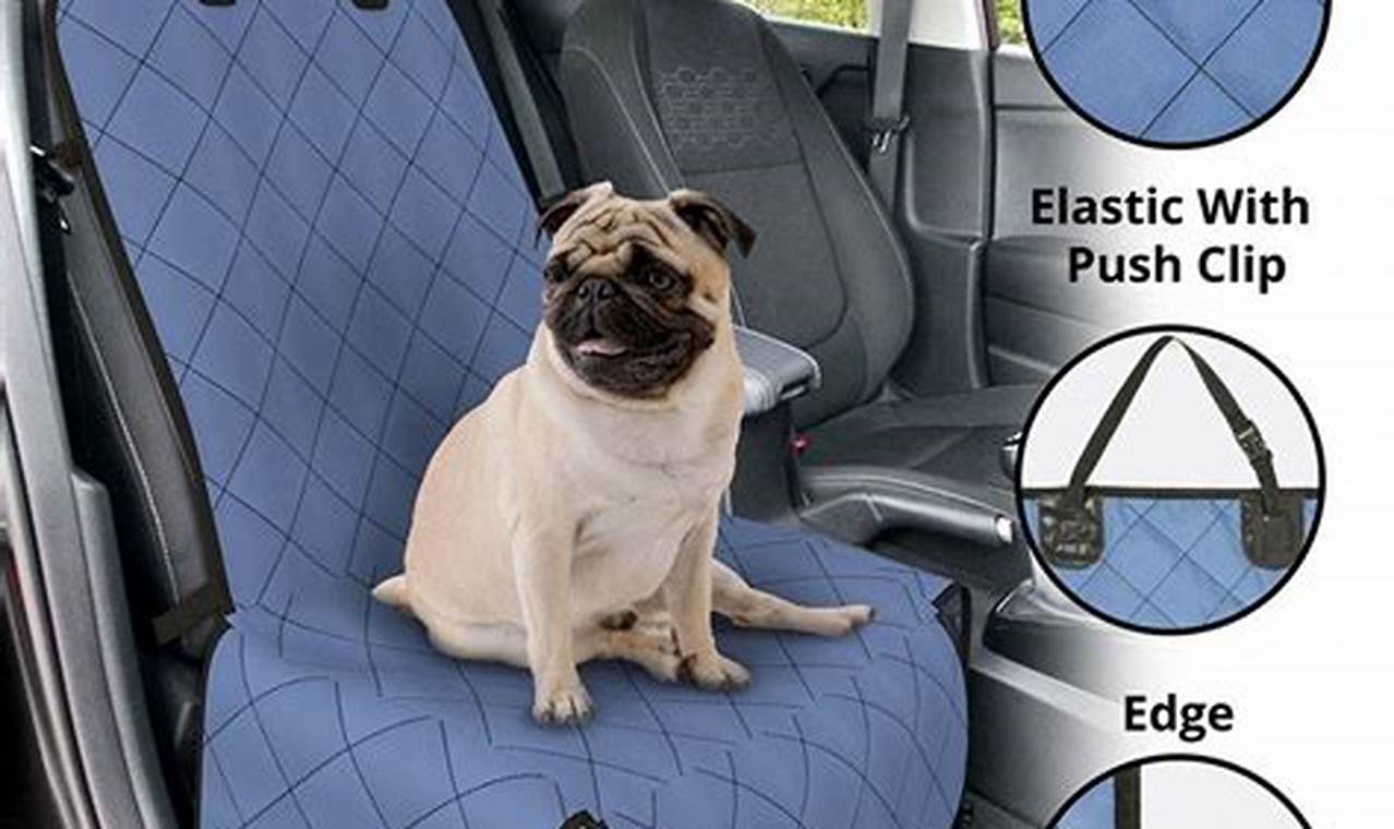 Best Dog Car Front Seat Covers & Protectors | My Caring Dog – Tips, Stories, and Care Guides for Loving Pet Owners