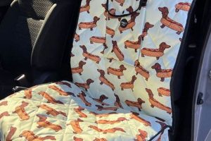 Best Single Car Seat Covers for Dogs: Ultimate Guide | My Caring Dog – Tips, Stories, and Care Guides for Loving Pet Owners
