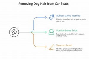 Easy Dog Hair Removal from Cars: Tips & Tricks | My Caring Dog – Tips, Stories, and Care Guides for Loving Pet Owners
